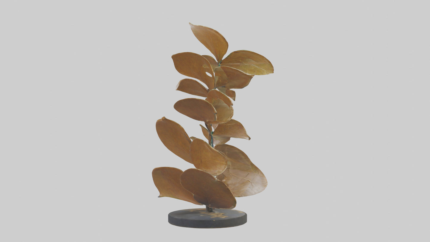 3D model Growing Leaf Spiral Sculpture model VR / AR / low-poly