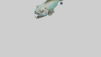 Grunt Fish statue model VR / AR / low-poly