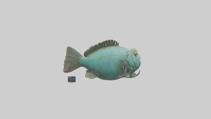 Grunt Fish statue model VR / AR / low-poly