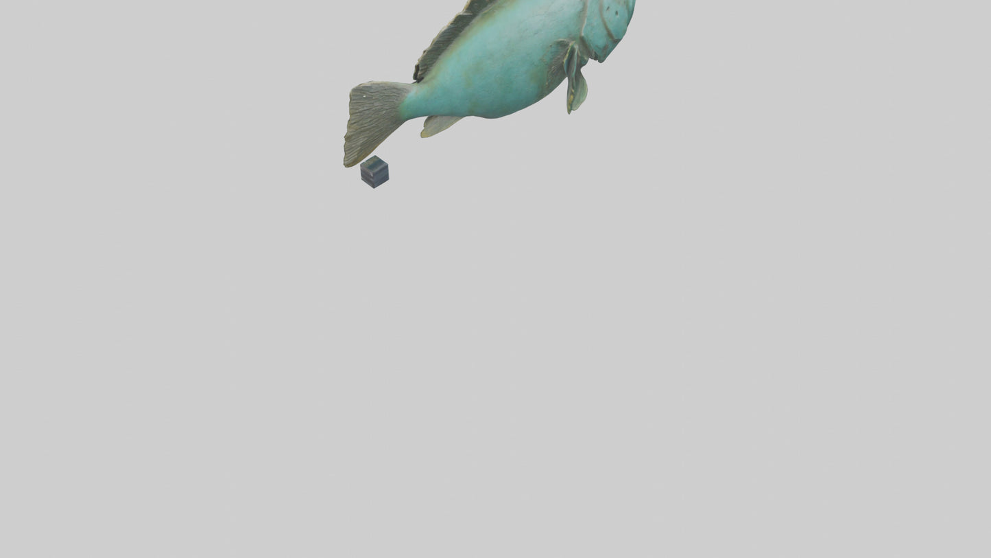 Grunt Fish statue model VR / AR / low-poly