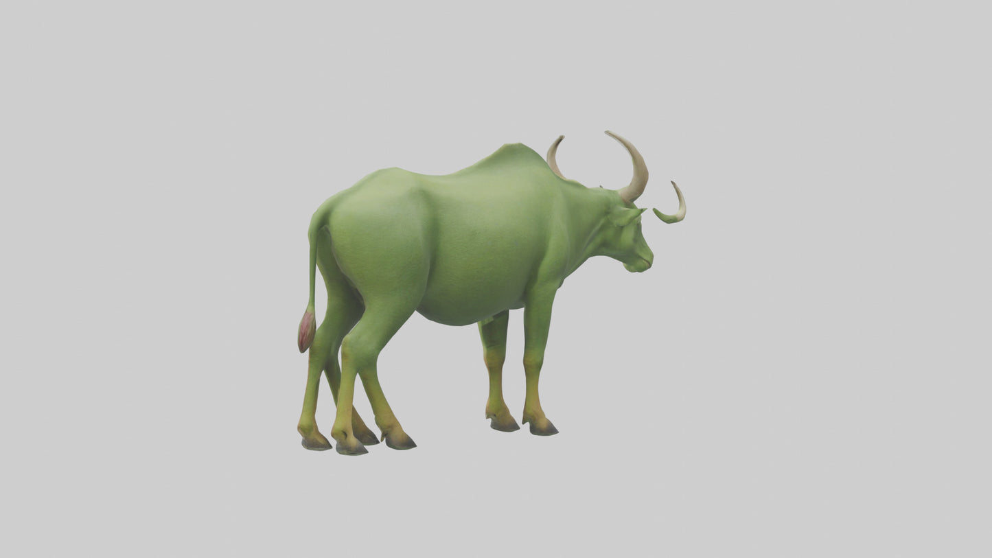 3D model Guar grazing in field model VR / AR / low-poly