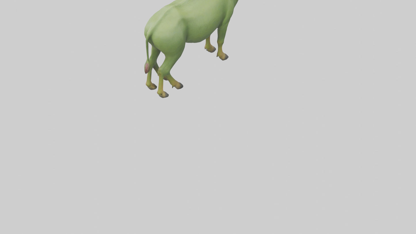 3D model Guar grazing in field model VR / AR / low-poly