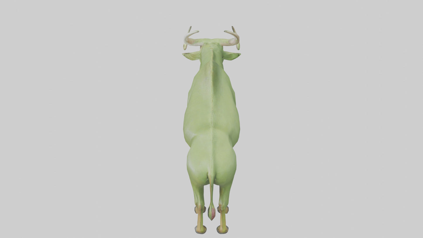 3D model Guar grazing in field model VR / AR / low-poly