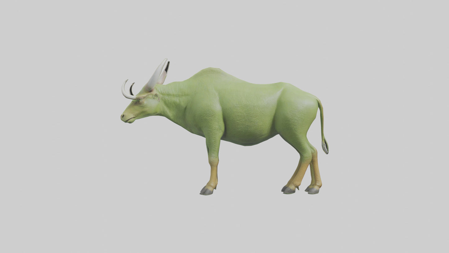 3D model Guar grazing in field model VR / AR / low-poly
