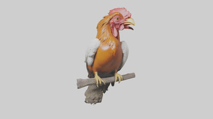3D model Guianan CockoftheRock perched model VR / AR / low-poly