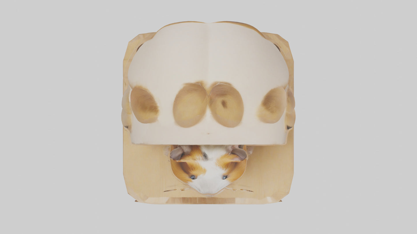 3D model Guinea Pig hiding model VR / AR / low-poly