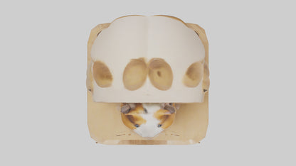 3D model Guinea Pig hiding model VR / AR / low-poly