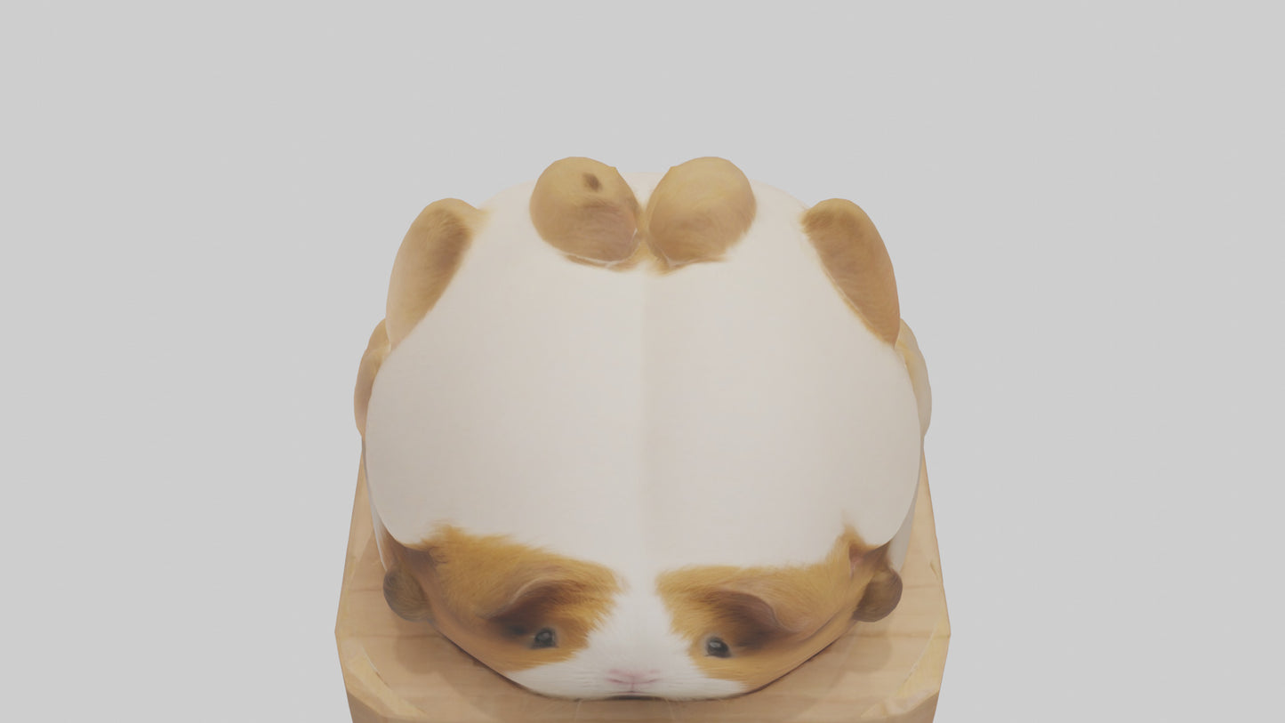 3D model Guinea Pig hiding model VR / AR / low-poly