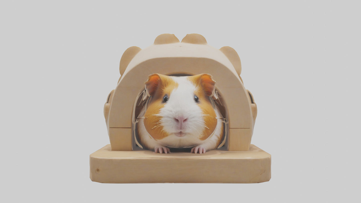 3D model Guinea Pig hiding model VR / AR / low-poly