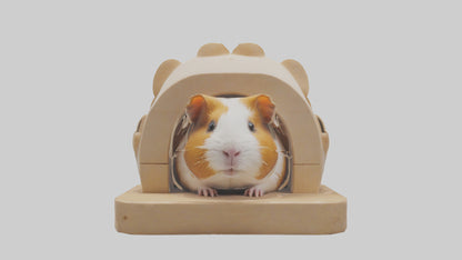 3D model Guinea Pig hiding model VR / AR / low-poly