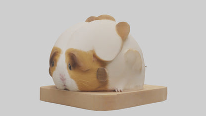 3D model Guinea Pig hiding model VR / AR / low-poly