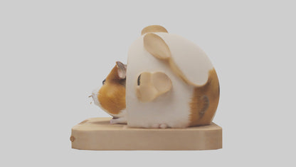 3D model Guinea Pig hiding model VR / AR / low-poly