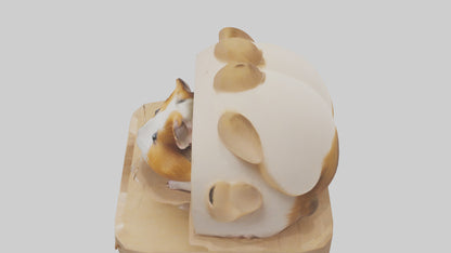 3D model Guinea Pig hiding model VR / AR / low-poly