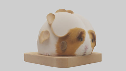 3D model Guinea Pig hiding model VR / AR / low-poly
