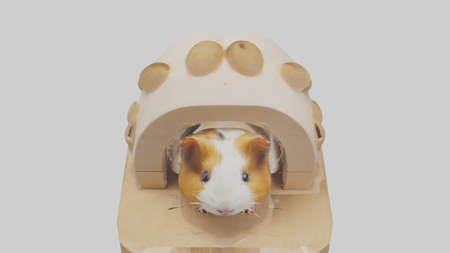 3D model Guinea Pig hiding model VR / AR / low-poly