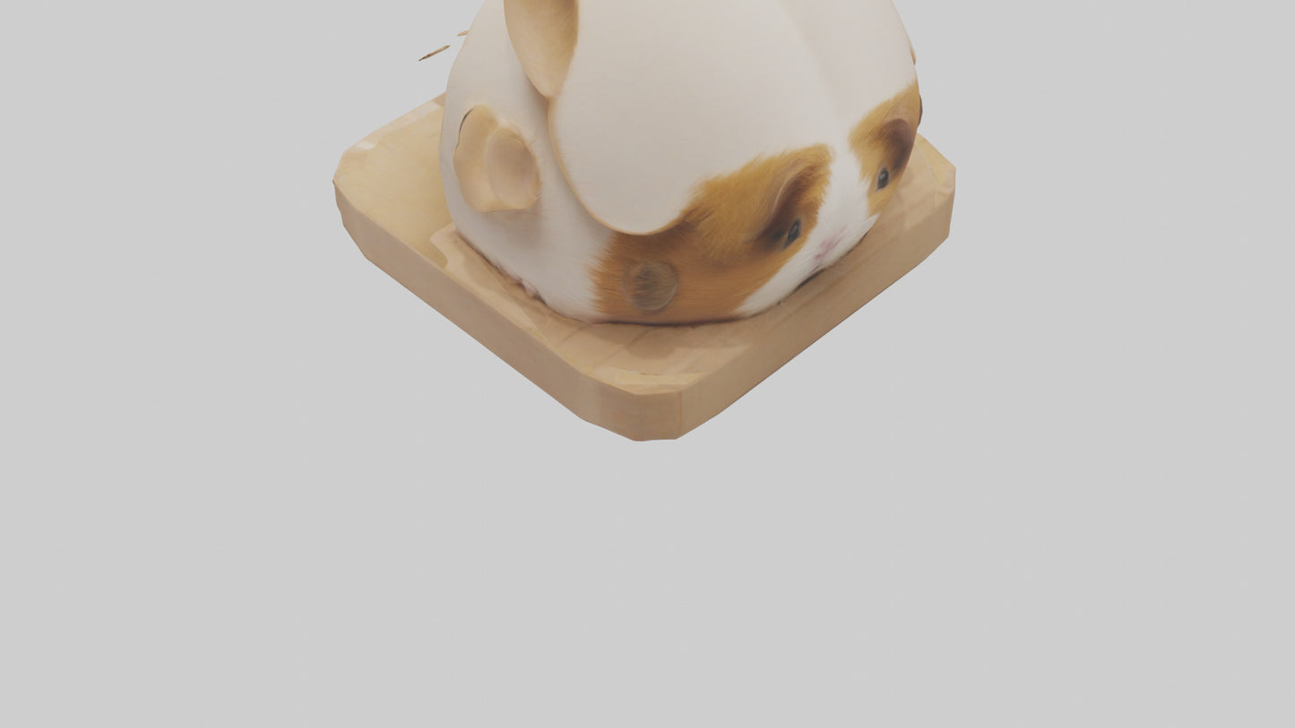 3D model Guinea Pig hiding model VR / AR / low-poly