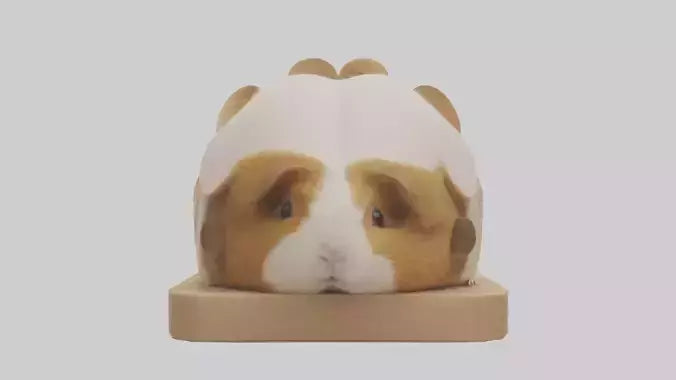 3D model Guinea Pig hiding model VR / AR / low-poly