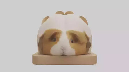 3D model Guinea Pig hiding model VR / AR / low-poly