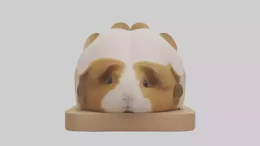 3D model Guinea Pig hiding model VR / AR / low-poly