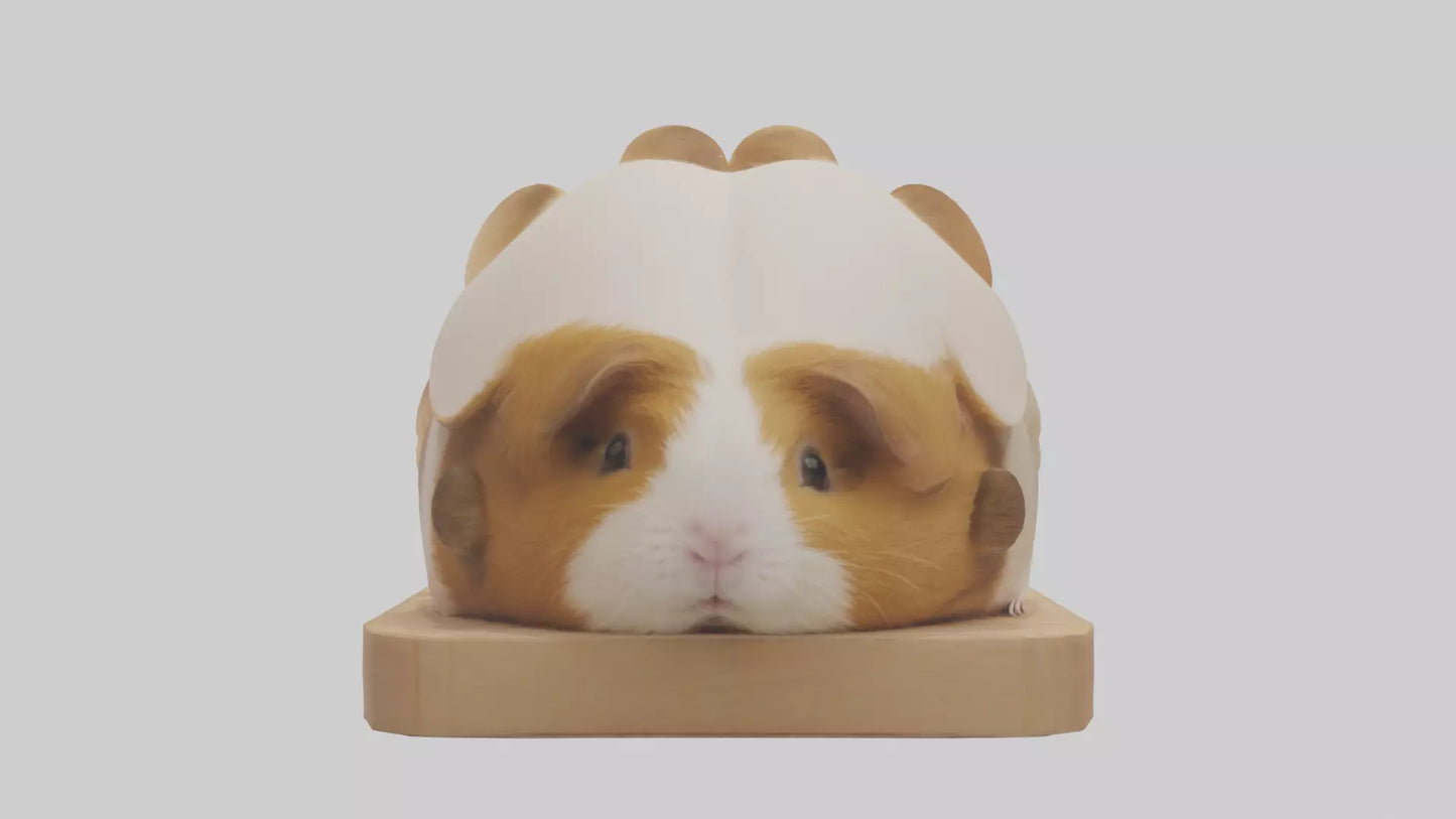 3D model Guinea Pig hiding model VR / AR / low-poly