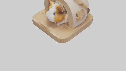 3D model Guinea Pig hiding model VR / AR / low-poly