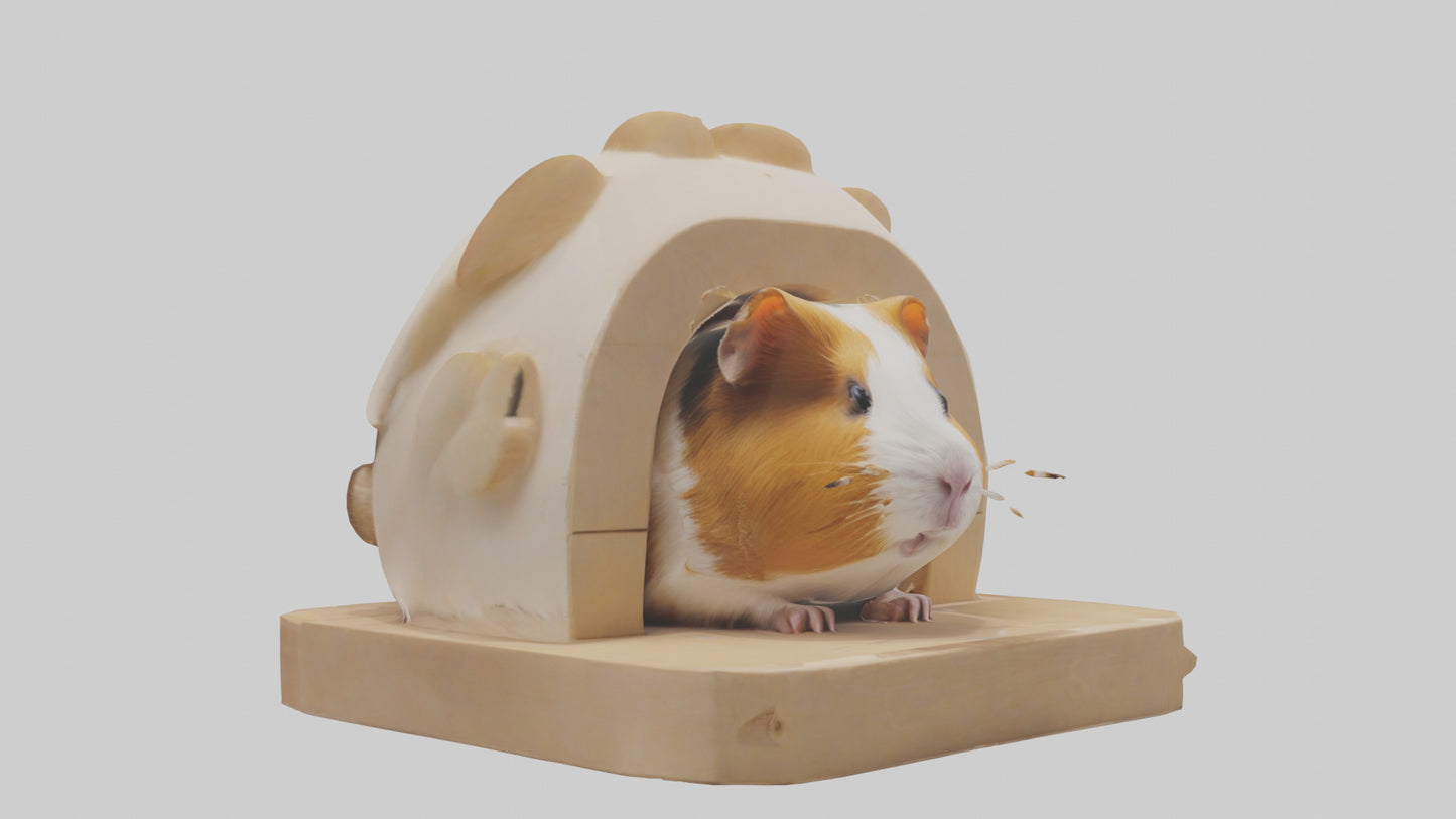 3D model Guinea Pig hiding model VR / AR / low-poly