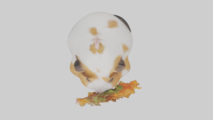 3D model Guinea Pig nibbling model VR / AR / low-poly