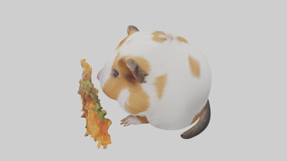 3D model Guinea Pig nibbling model VR / AR / low-poly