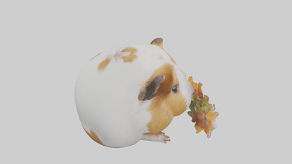 3D model Guinea Pig nibbling model VR / AR / low-poly