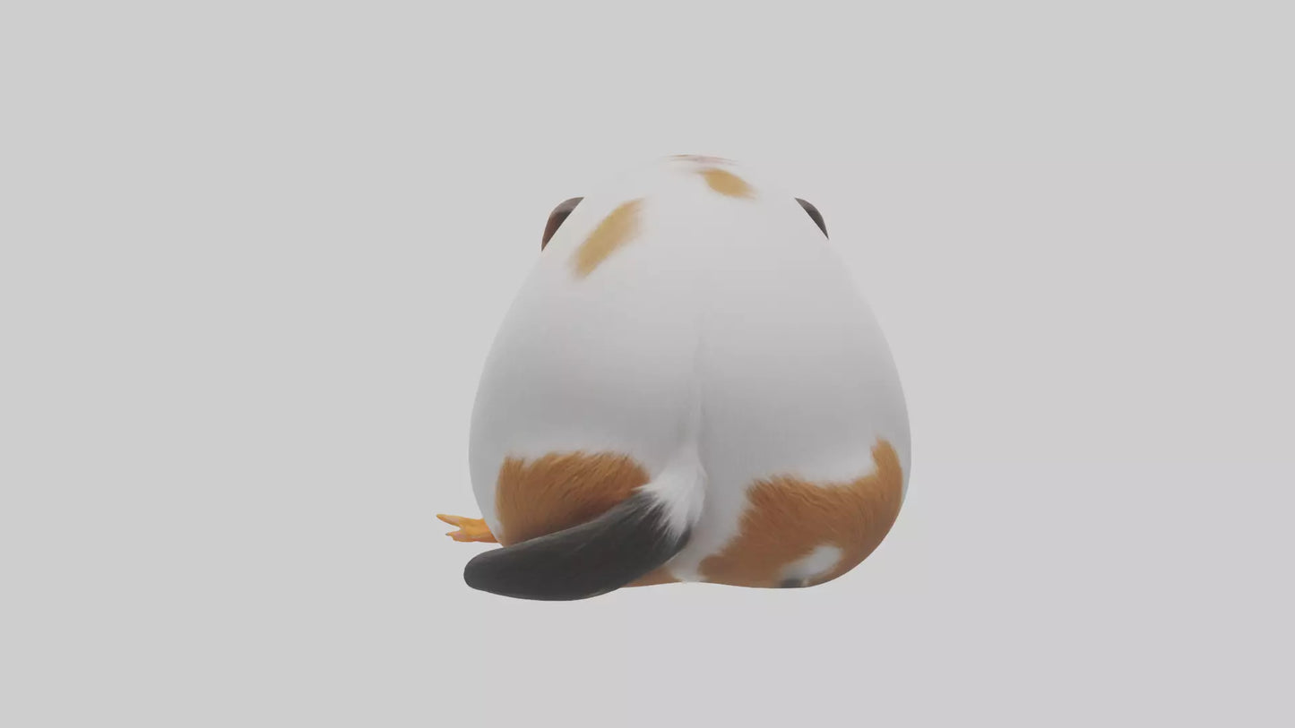 3D model Guinea Pig nibbling model VR / AR / low-poly