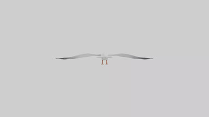 Gull flying model VR / AR / low-poly