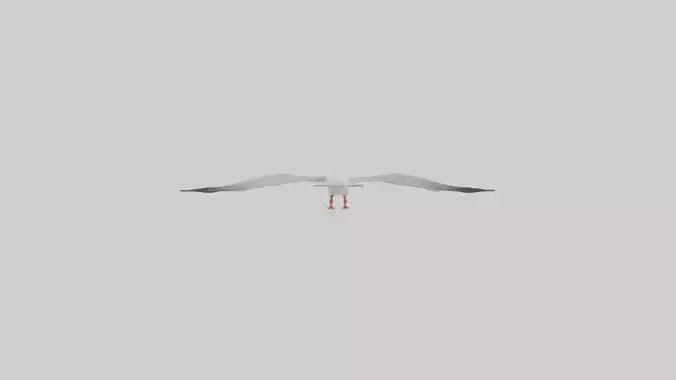 Gull flying model VR / AR / low-poly