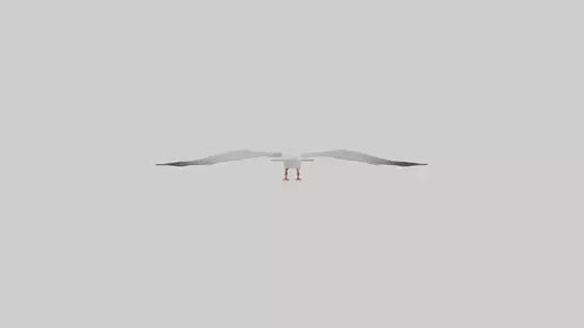 Gull flying model VR / AR / low-poly