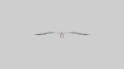Gull flying model VR / AR / low-poly