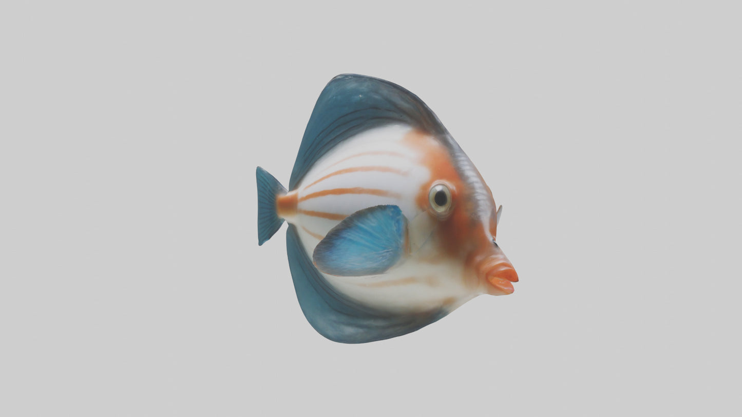 3D model Guppy darting around model VR / AR / low-poly