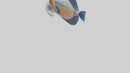 3D model Guppy darting around model VR / AR / low-poly