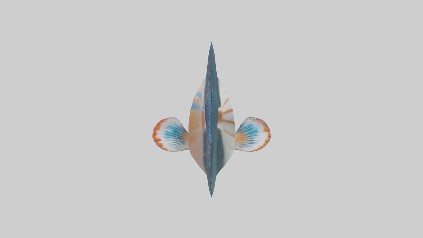3D model Guppy darting around model VR / AR / low-poly