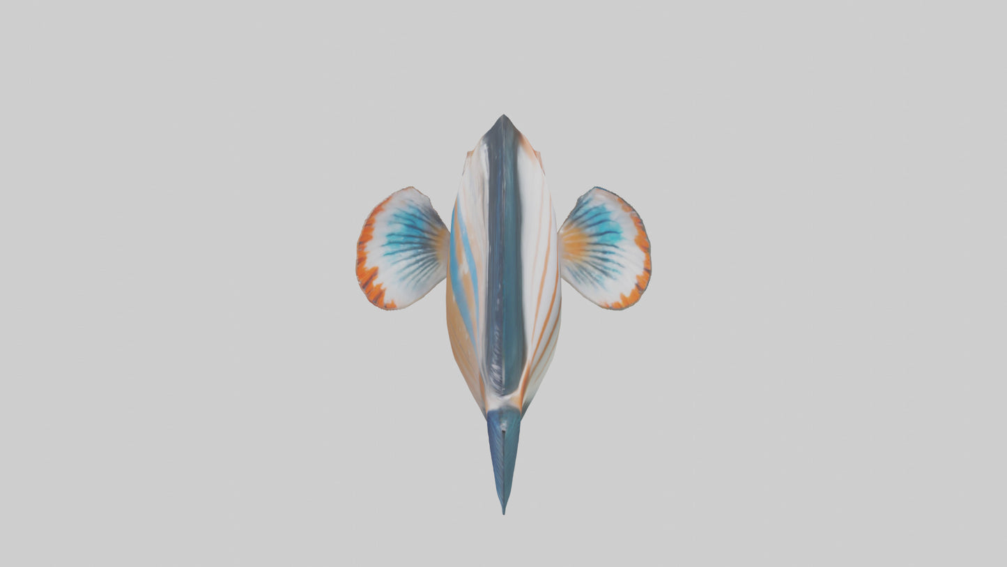 3D model Guppy darting around model VR / AR / low-poly