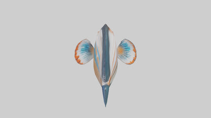 3D model Guppy darting around model VR / AR / low-poly