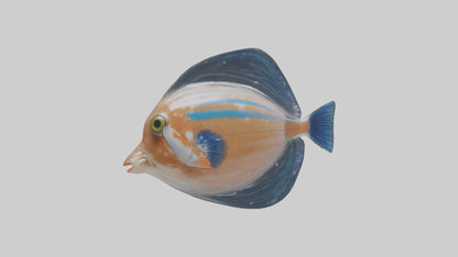 3D model Guppy darting around model VR / AR / low-poly