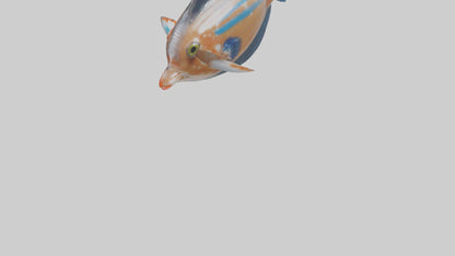 3D model Guppy darting around model VR / AR / low-poly