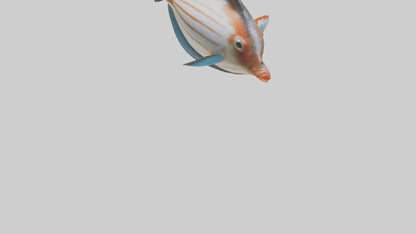 3D model Guppy darting around model VR / AR / low-poly