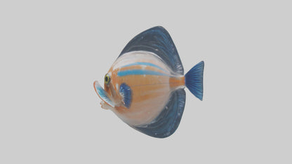 3D model Guppy darting around model VR / AR / low-poly