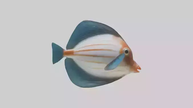3D model Guppy darting around model VR / AR / low-poly