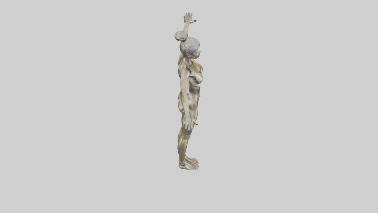 Gym model 3D model