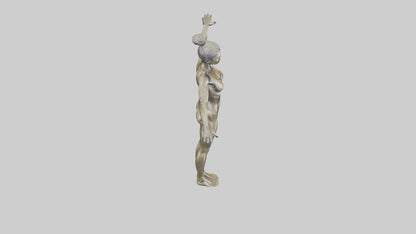 Gym model 3D model