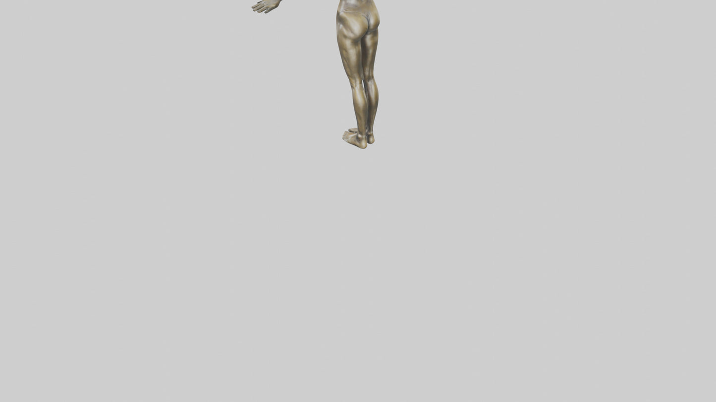 Gym model 3D model