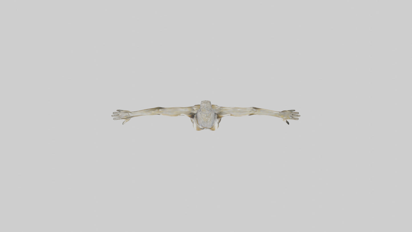 Gym model 3D model