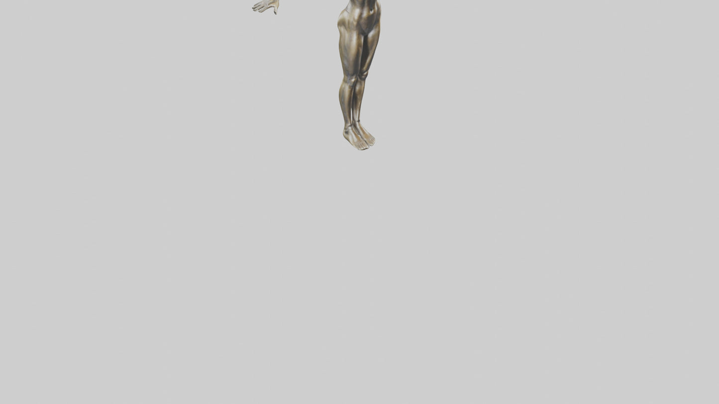 Gym model 3D model