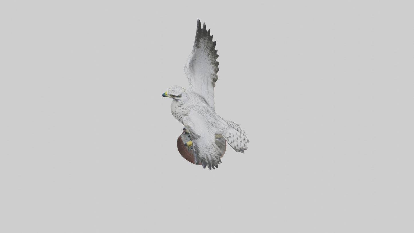 3D model Gyrfalcon statue model VR / AR / low-poly